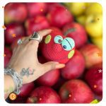 فایل آموزشی هپلی خان+آموزش ویدیویی عمو نوروز+فایل آموزشی عمونوروز - Image 2